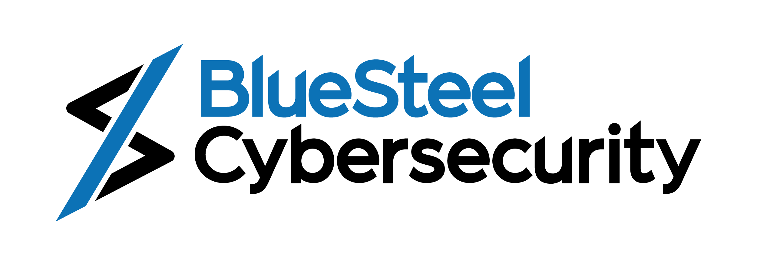 BlueSteel Cybersecurity logo